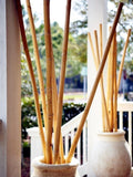 Bambusove palice - Minu.si