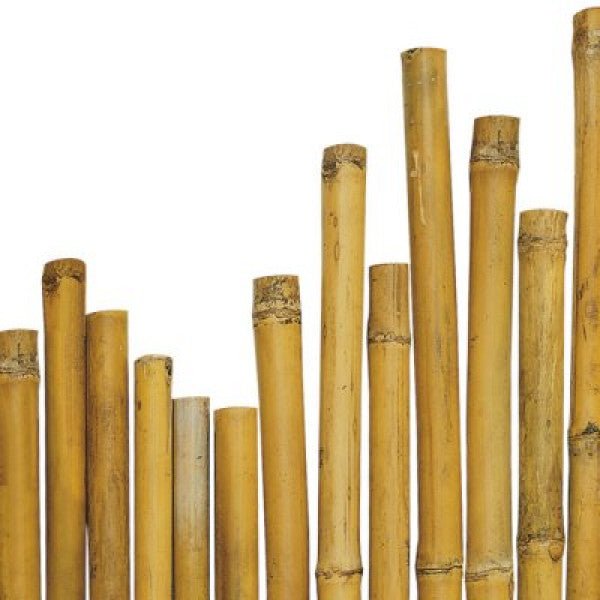 Bambusove palice - Minu.si